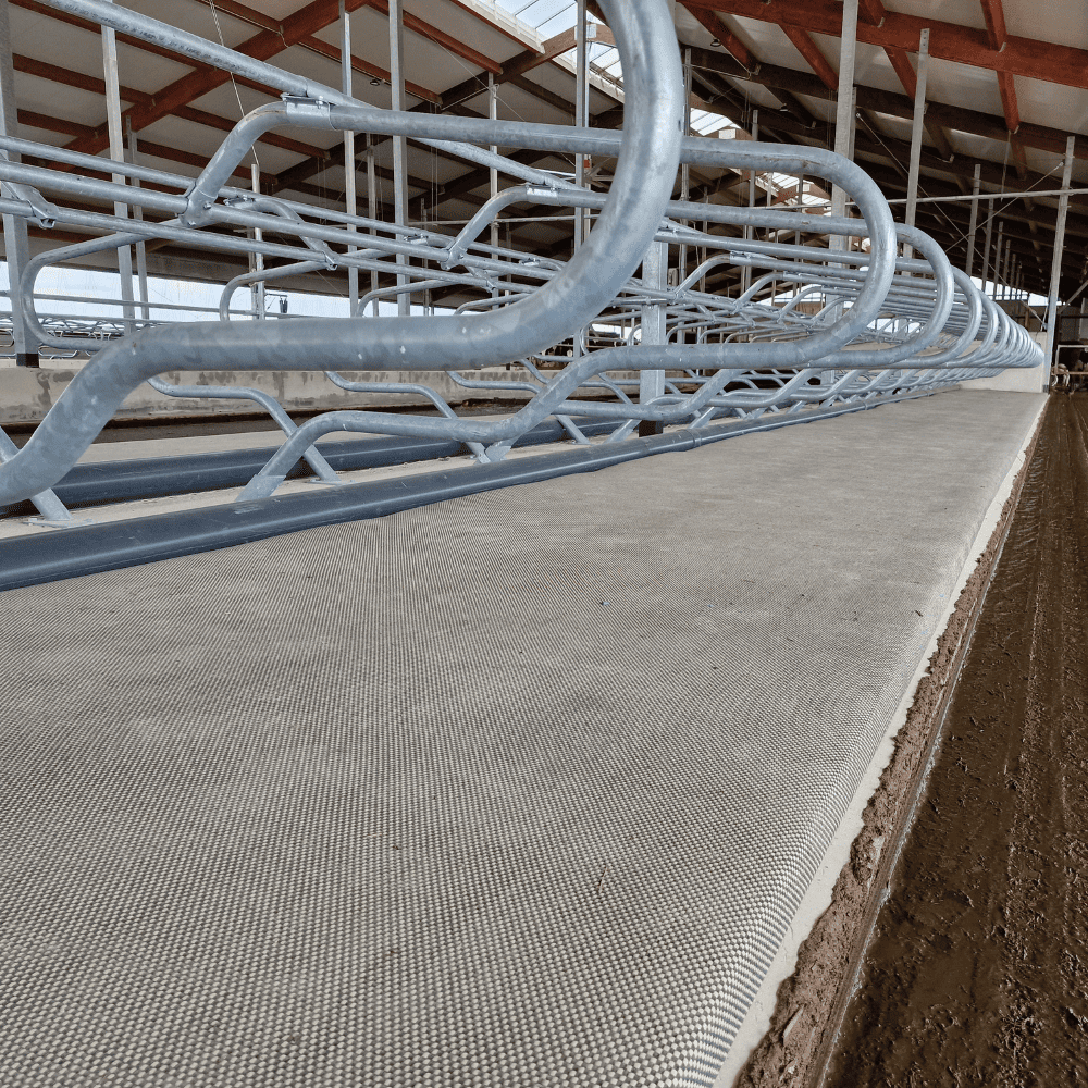 Guļvietu matracis Strong